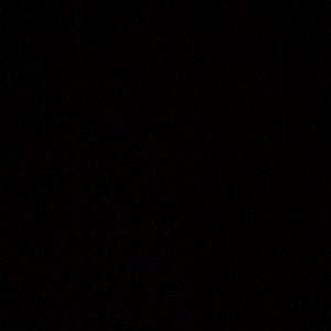 Meet your Posher, Savannah